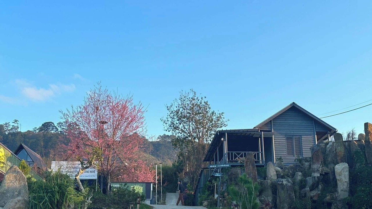Photo of Outdoor in Lac Duong
