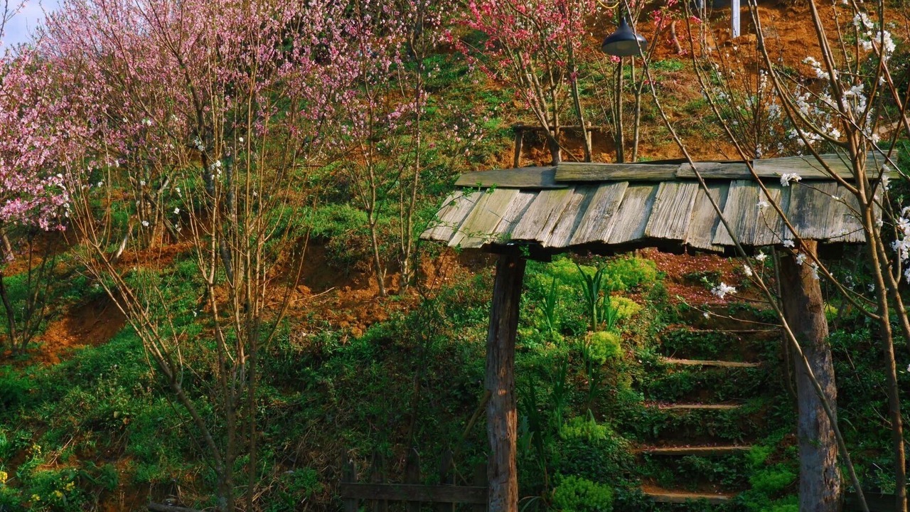 Photo of Outdoor in Sa Pa