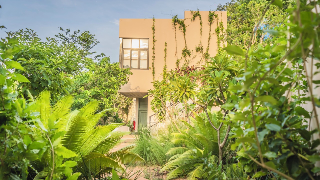 Photo of Outdoor in Mazunte