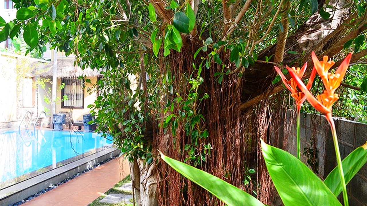 Photo of Outdoor in East Ham Tien Beach