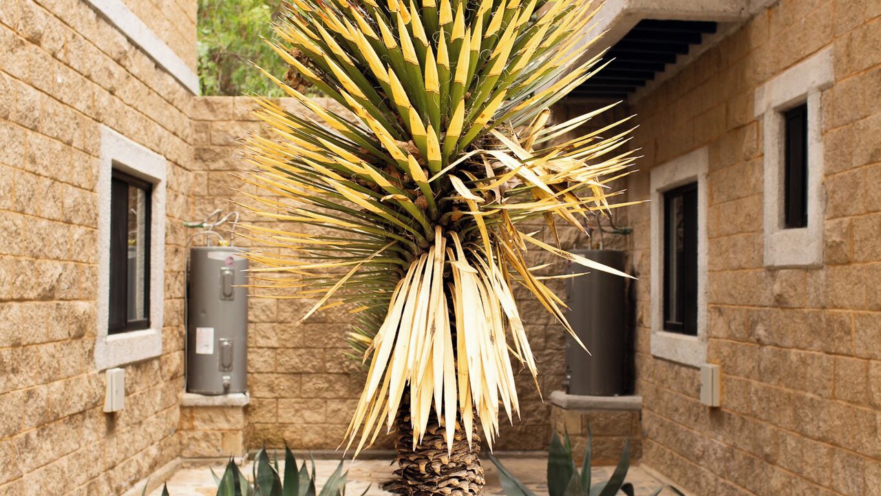 Photo of Outdoor in San Antonio de Las Alazanas