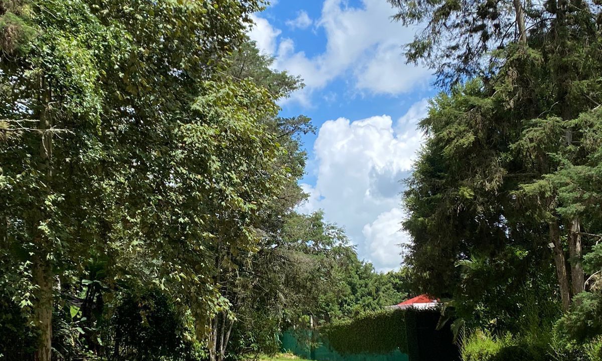 Photo of Outdoor in El Carrizal