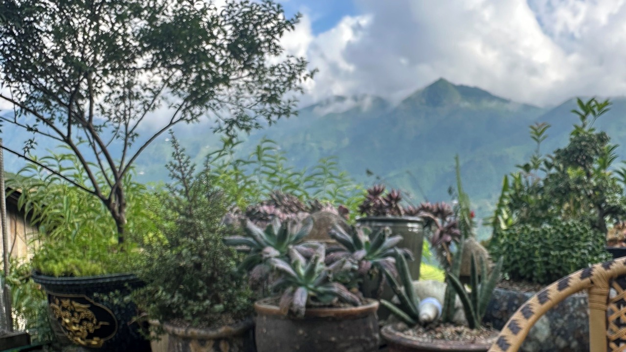 Photo of Outdoor in Sa Pa