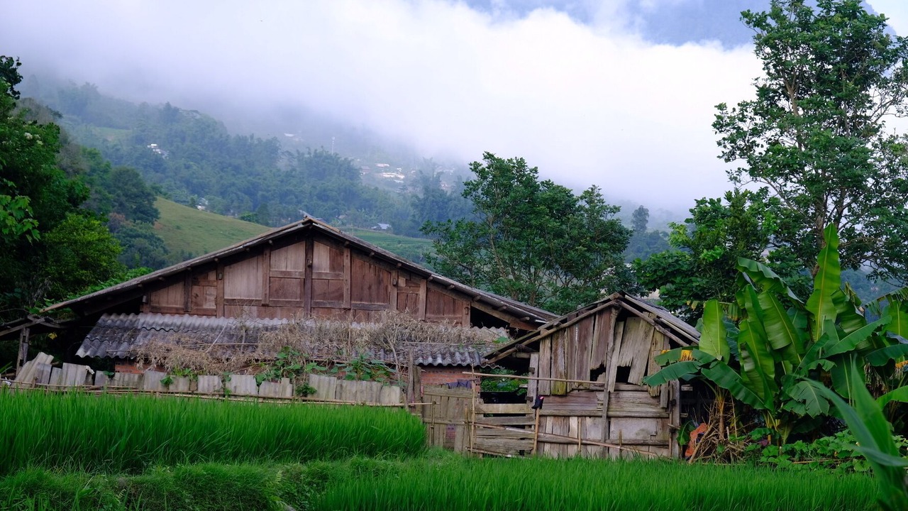 Photo of Outdoor in Sa Pa