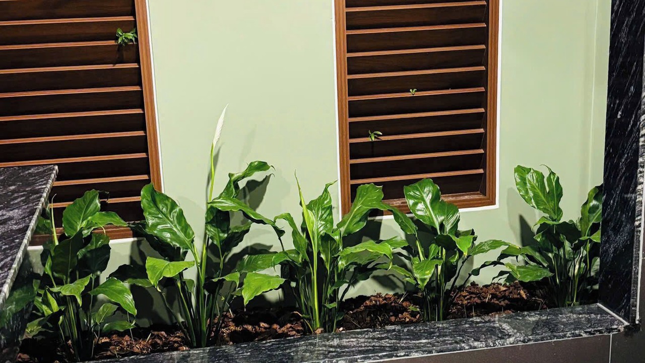 Photo of Bathroom in Xuyen Moc
