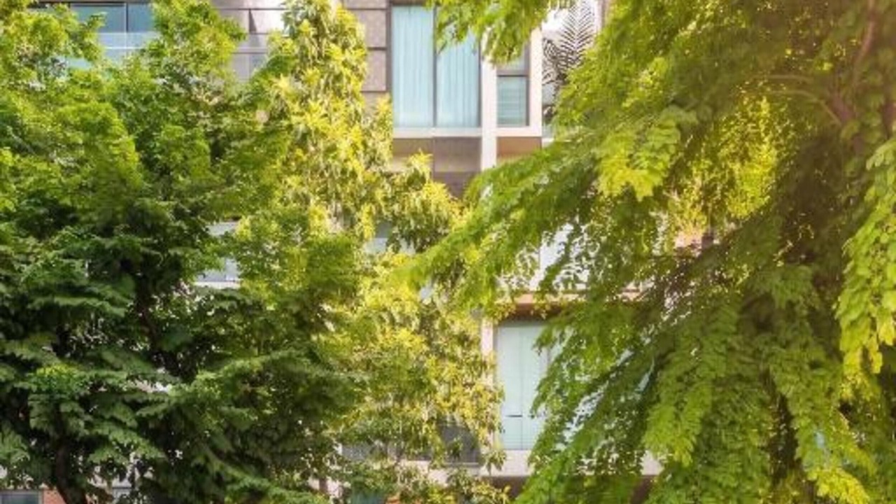 Photo of Outdoor in An Phu