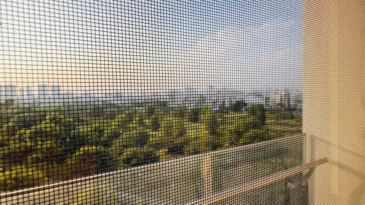 Photo of Patio Balcony in Phu My Hung