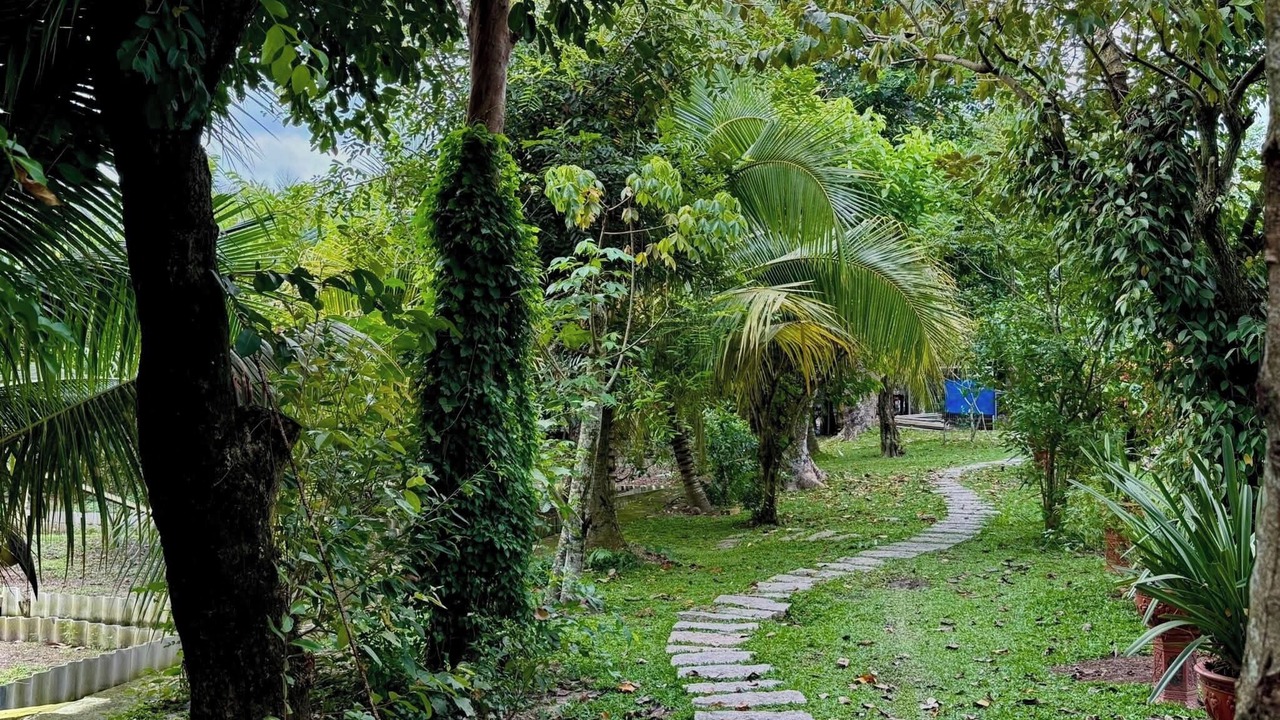 Photo of Outdoor in Cu Chi