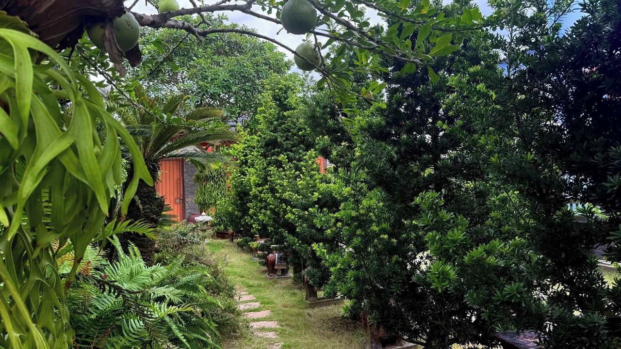 Photo of Outdoor in Cu Chi