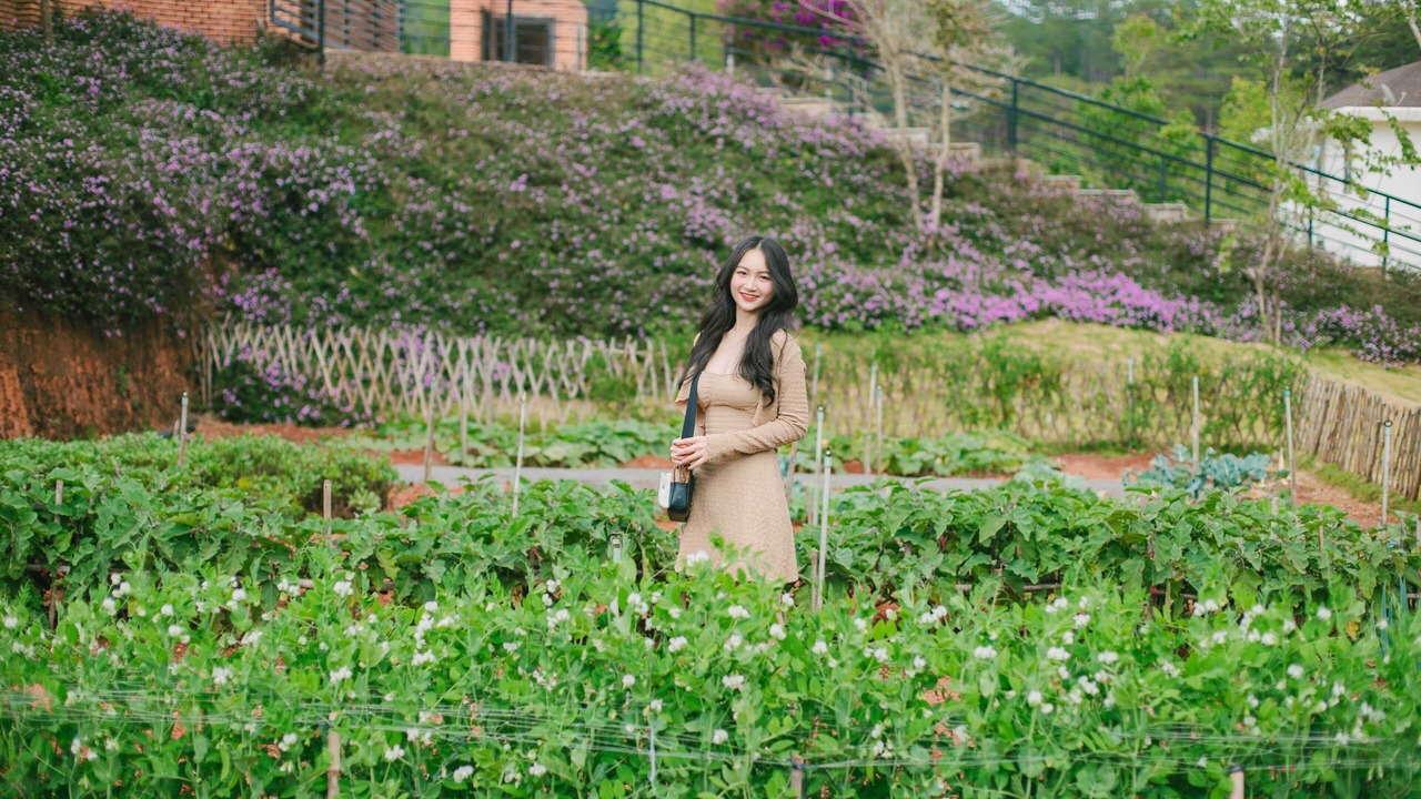 Photo of Others in Lac Duong