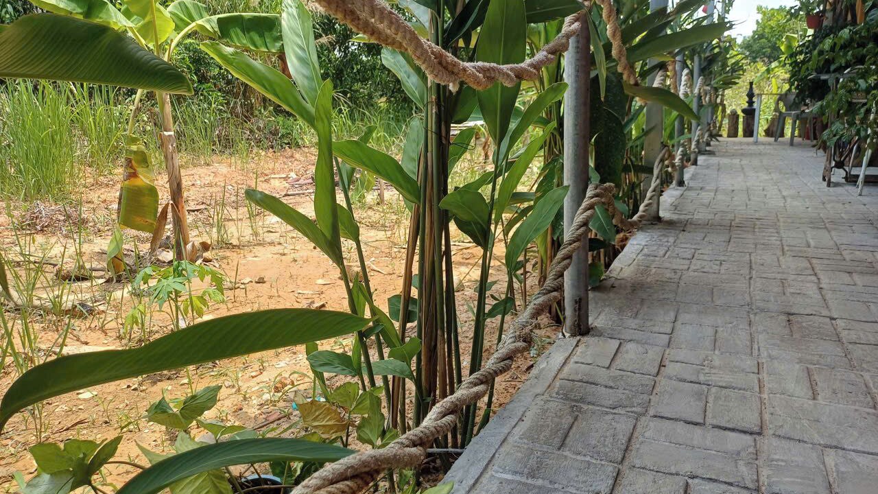 Photo of Outdoor in Ganh Dau