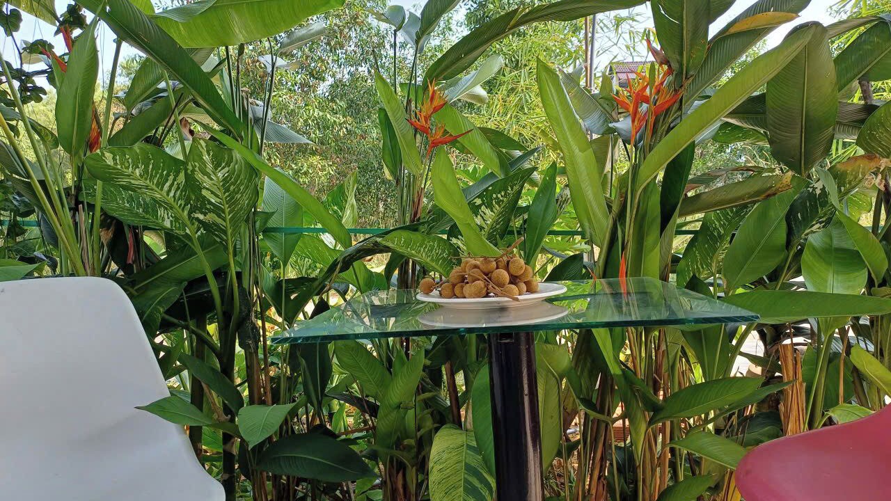 Photo of Outdoor in Ganh Dau