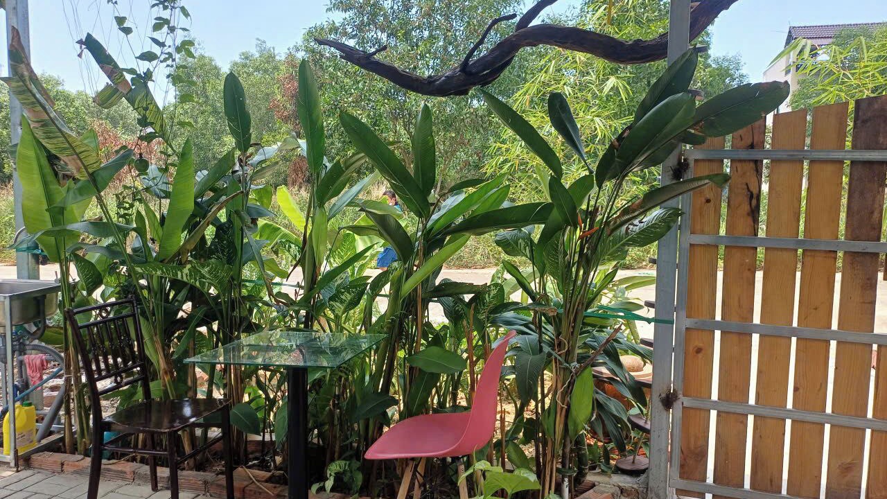 Photo of Outdoor in Ganh Dau