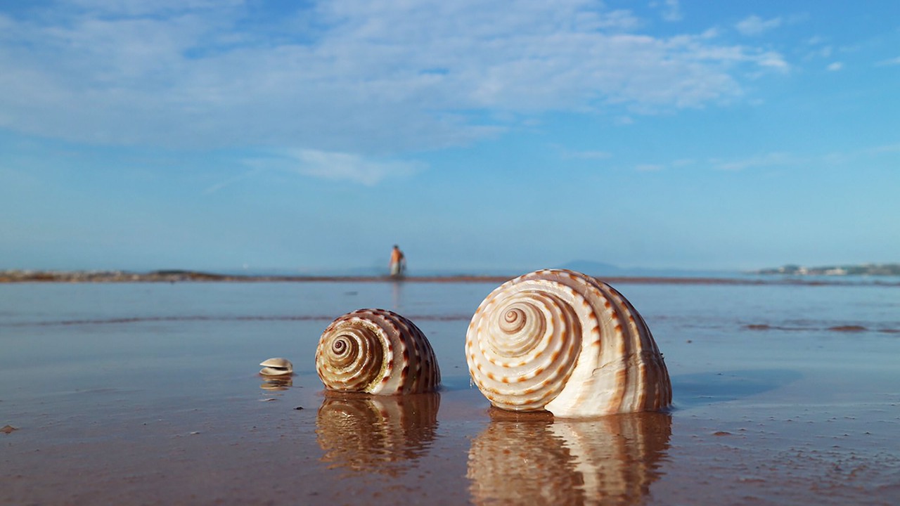 Photo of Others in East Ham Tien Beach