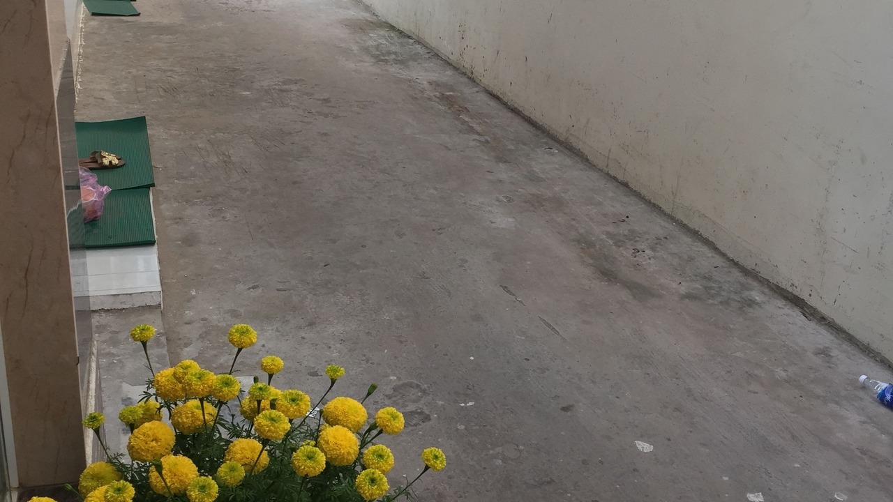 Photo of Outdoor in Duong Dong