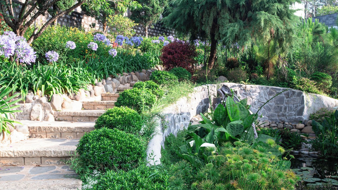 Photo of Outdoor in Phuong 10