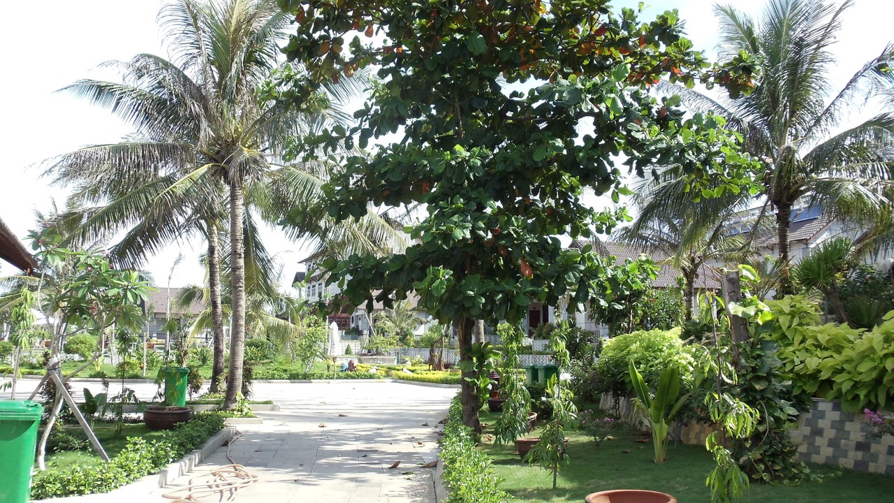 Photo of Outdoor in Tan Loc