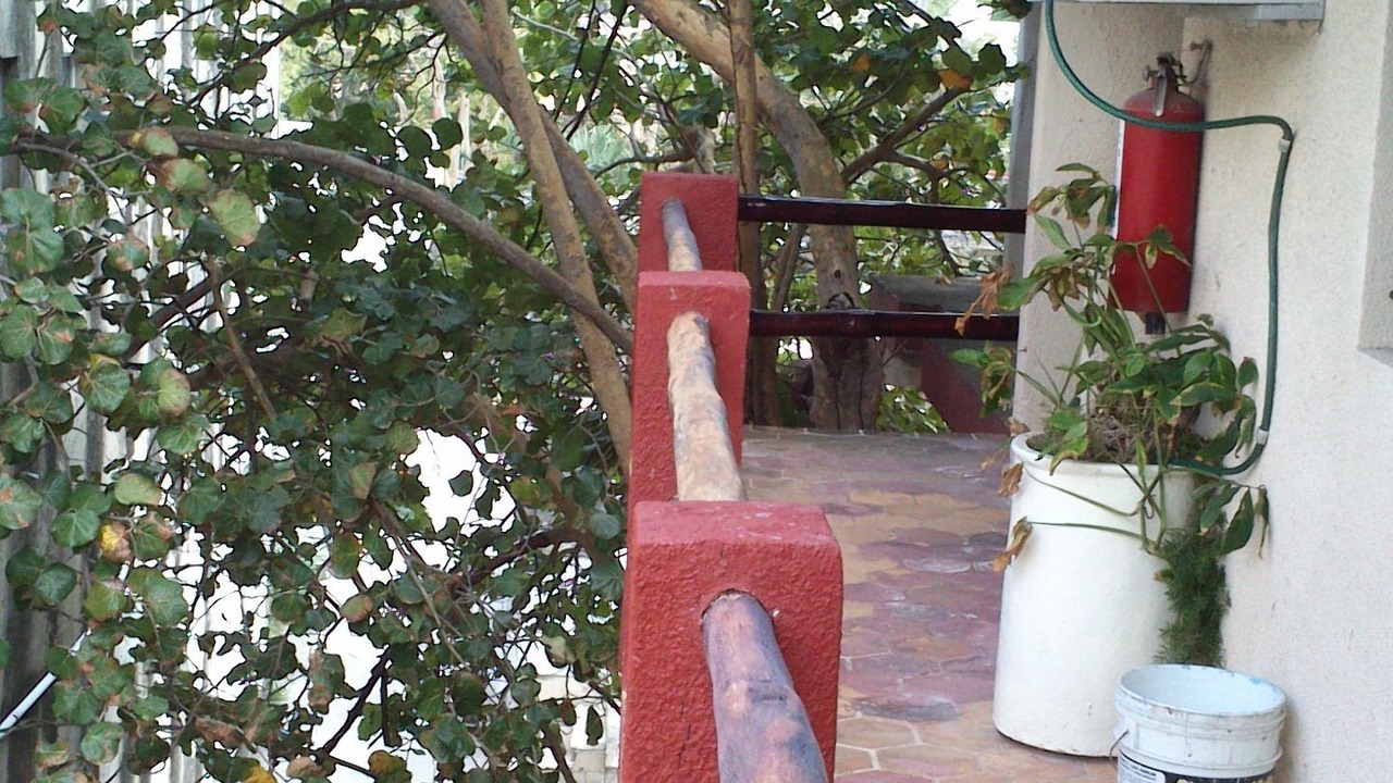 Photo of Patio Balcony in Colonia Centro