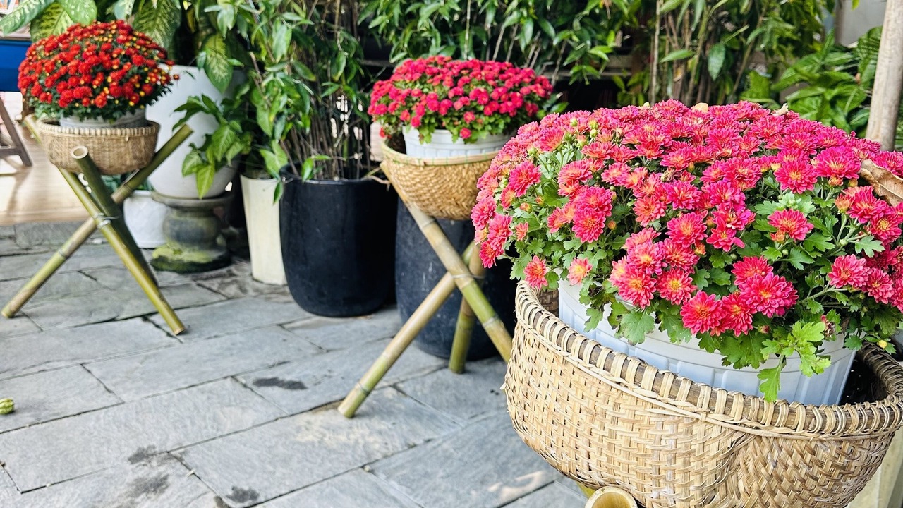 Photo of Outdoor in Cam Thanh