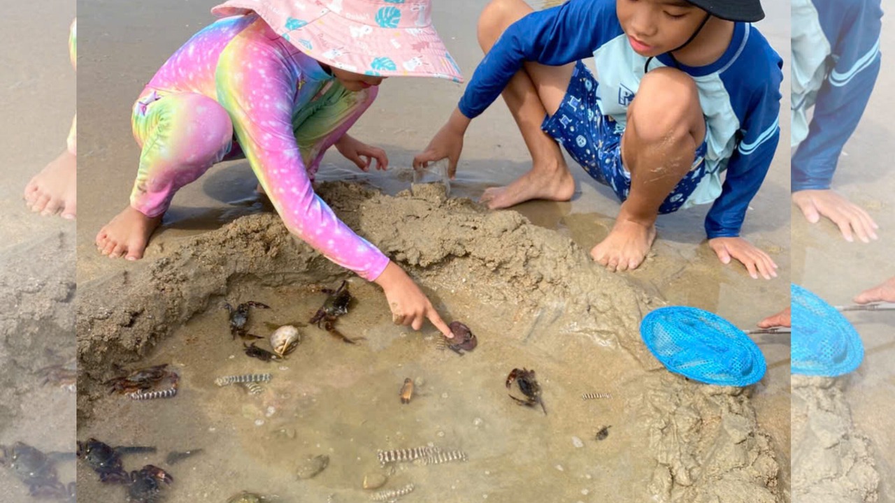 Photo of Others in Ap Binh Chau