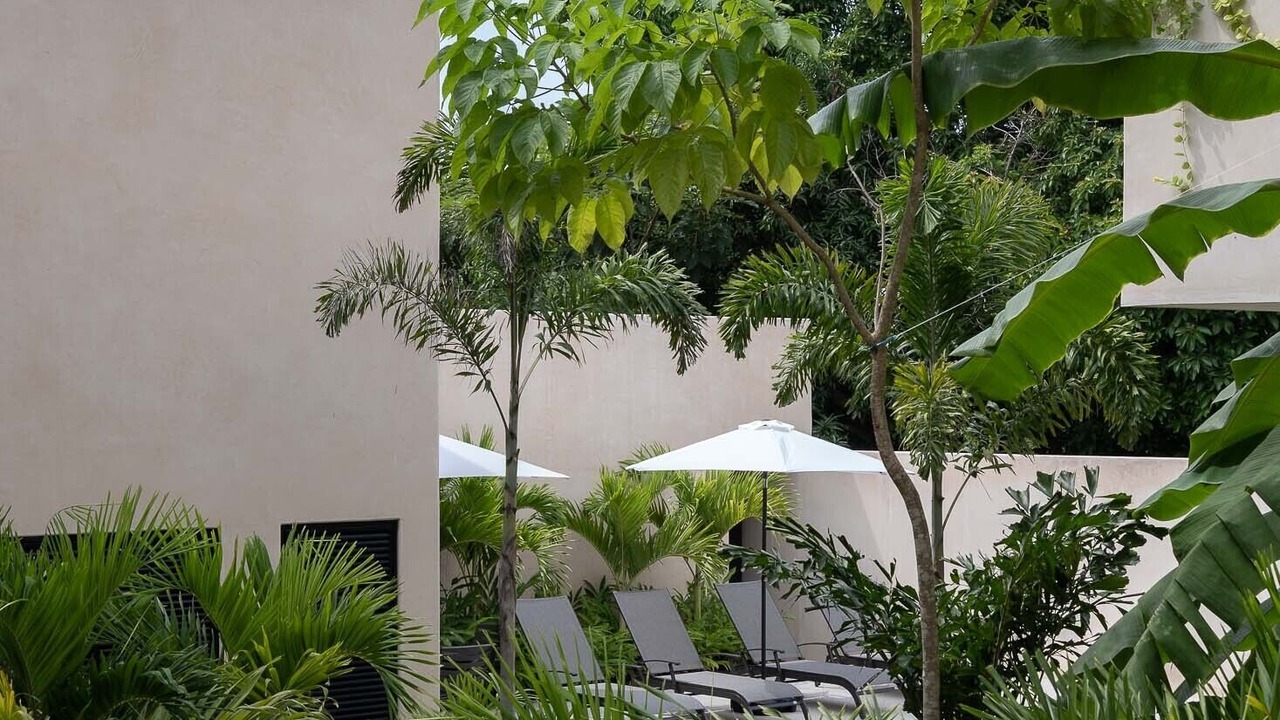 Photo of Outdoor in San Francisco
