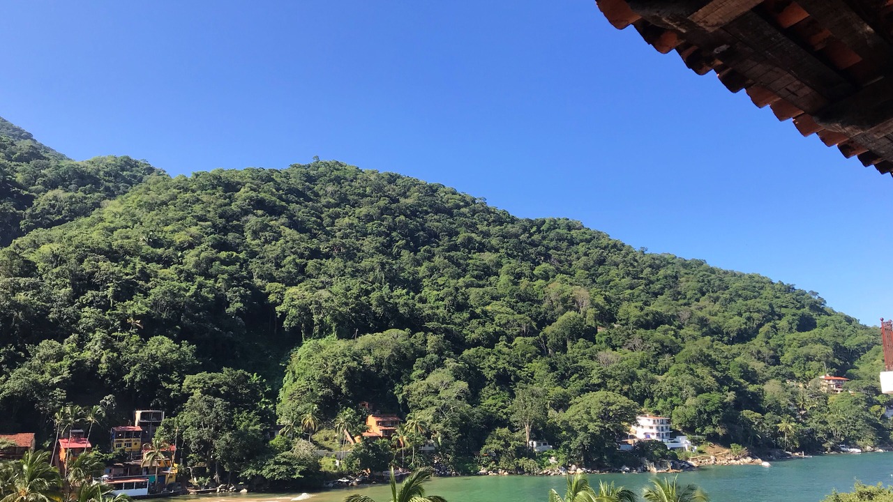 Photo of Outdoor in Boca de Tomatlan