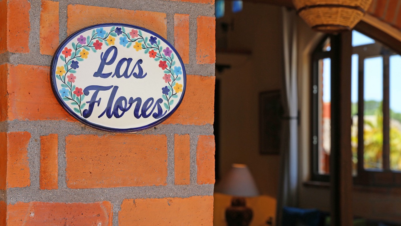 Photo of Others in Sayulita