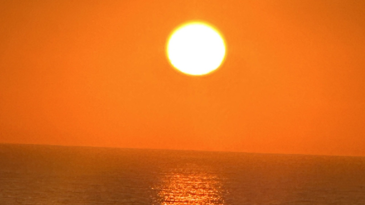 Photo of Others in Costa de Oro