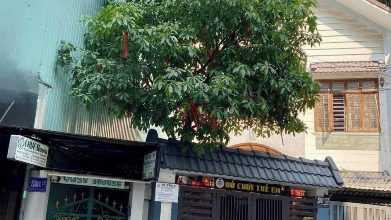 Photo of Outdoor in Da Nang City Centre