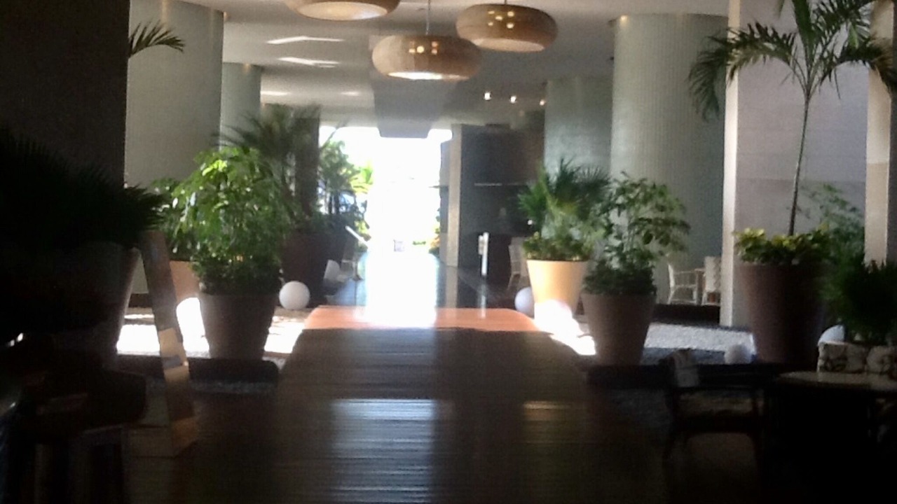 Photo of Others in Nuevo Vallarta