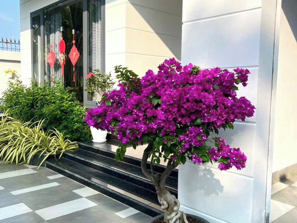 Photo of Outdoor in Vung Tau