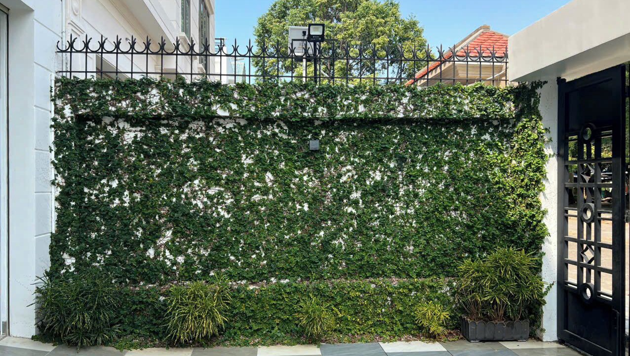 Photo of Outdoor in Vung Tau