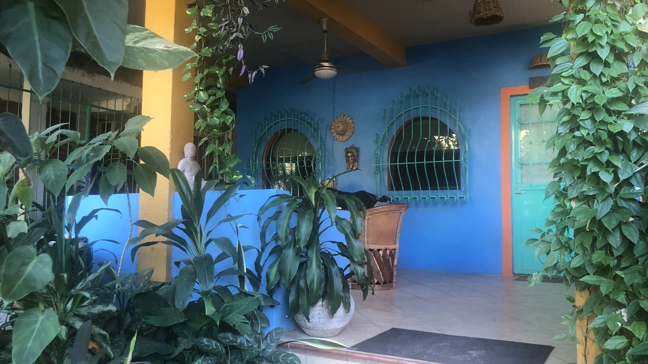 Photo of Outdoor in Boca de Tomatlan