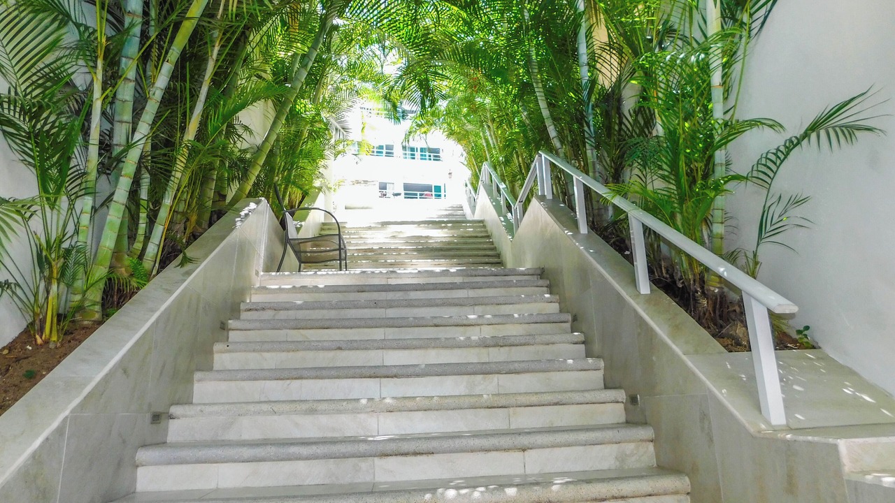 Photo of Outdoor in Amapas