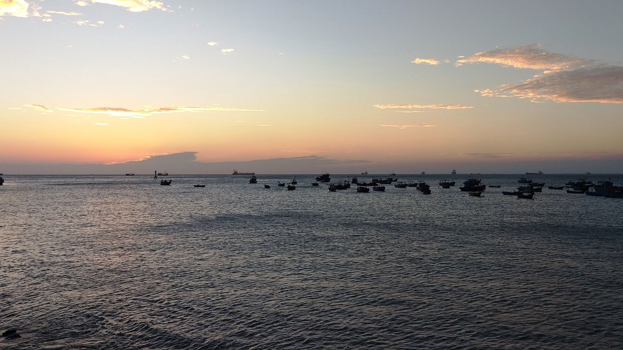 Photo of Others in Vung Tau