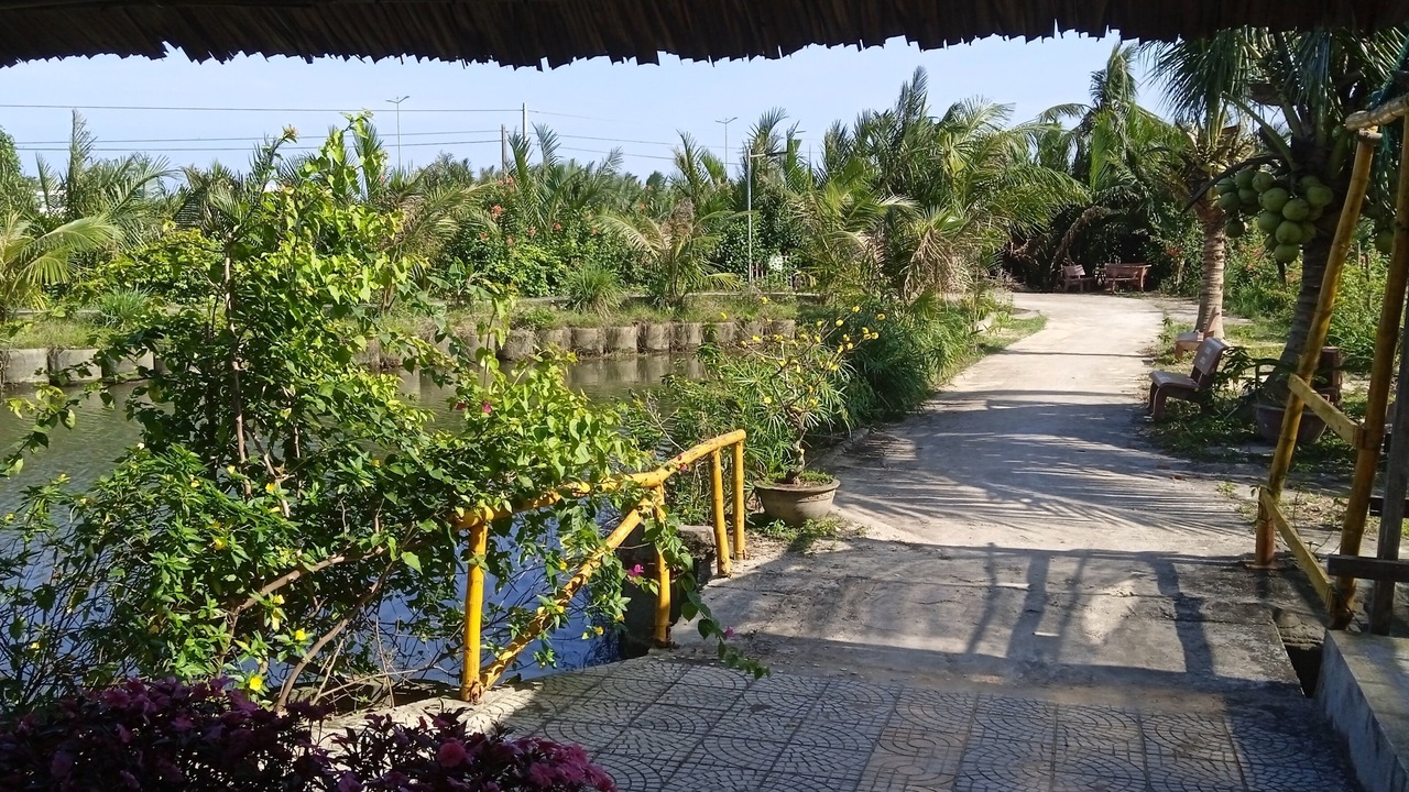 Photo of Outdoor in Cam Thanh