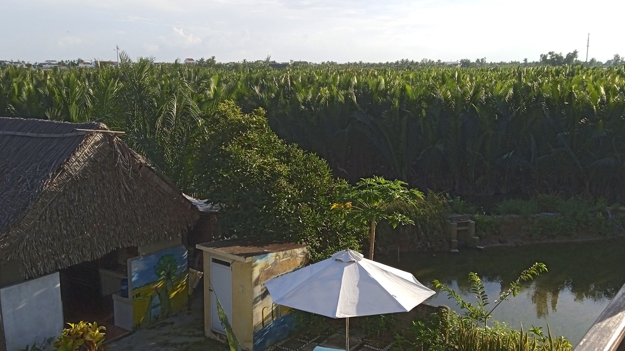 Photo of Outdoor in Cam Thanh