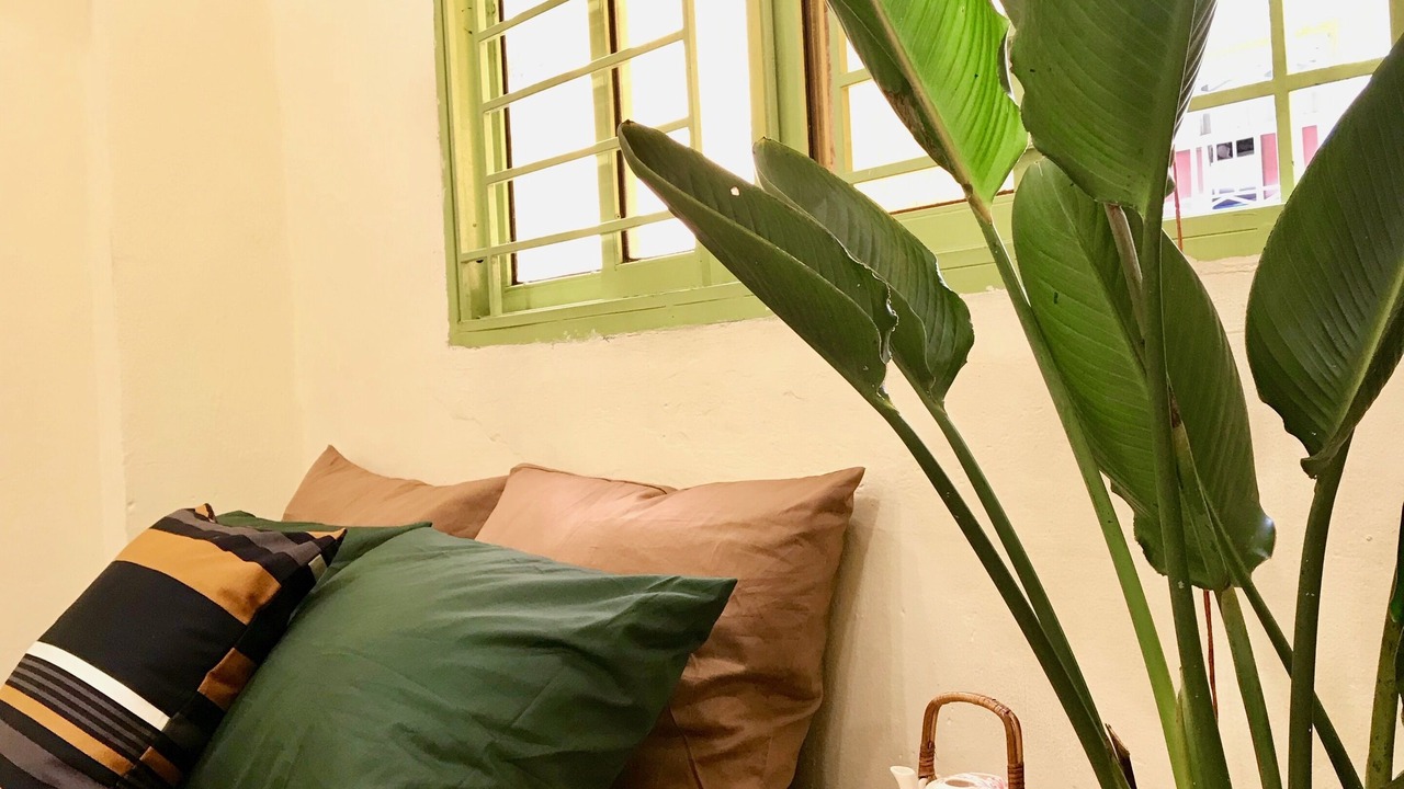 Photo of Bedroom in Nguyen Thai Binh