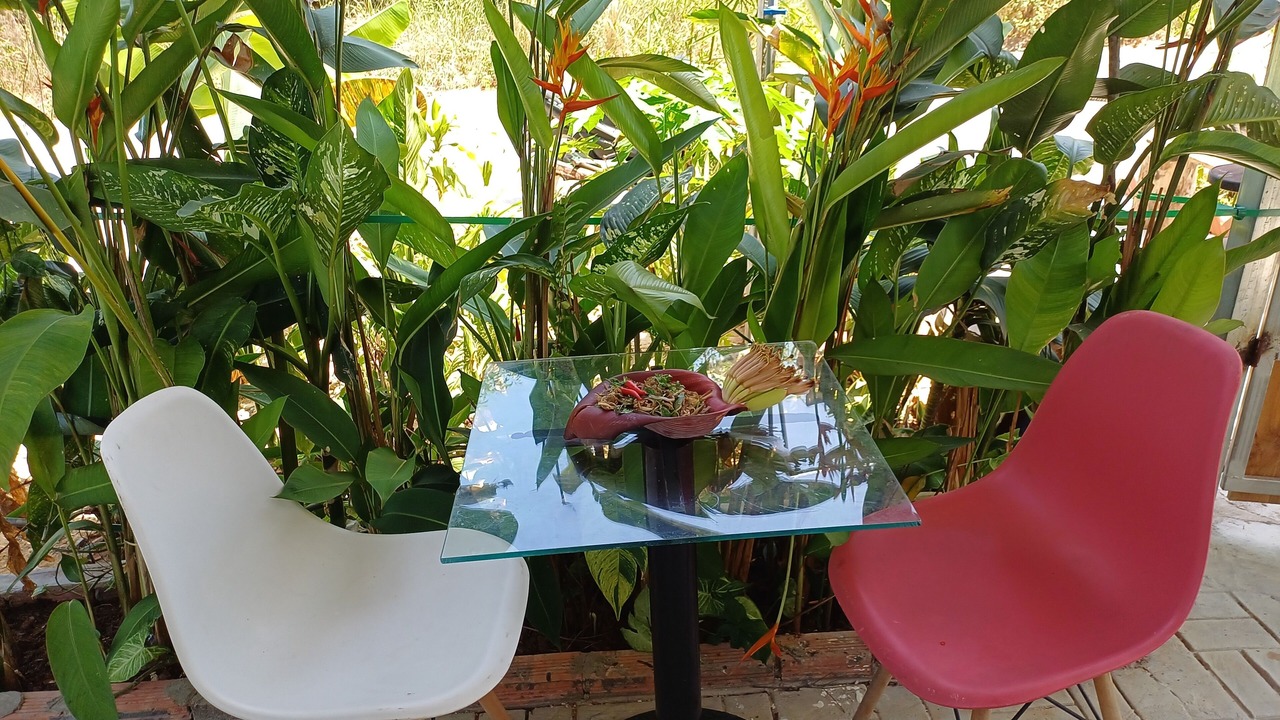 Photo of Livingroom in Ganh Dau