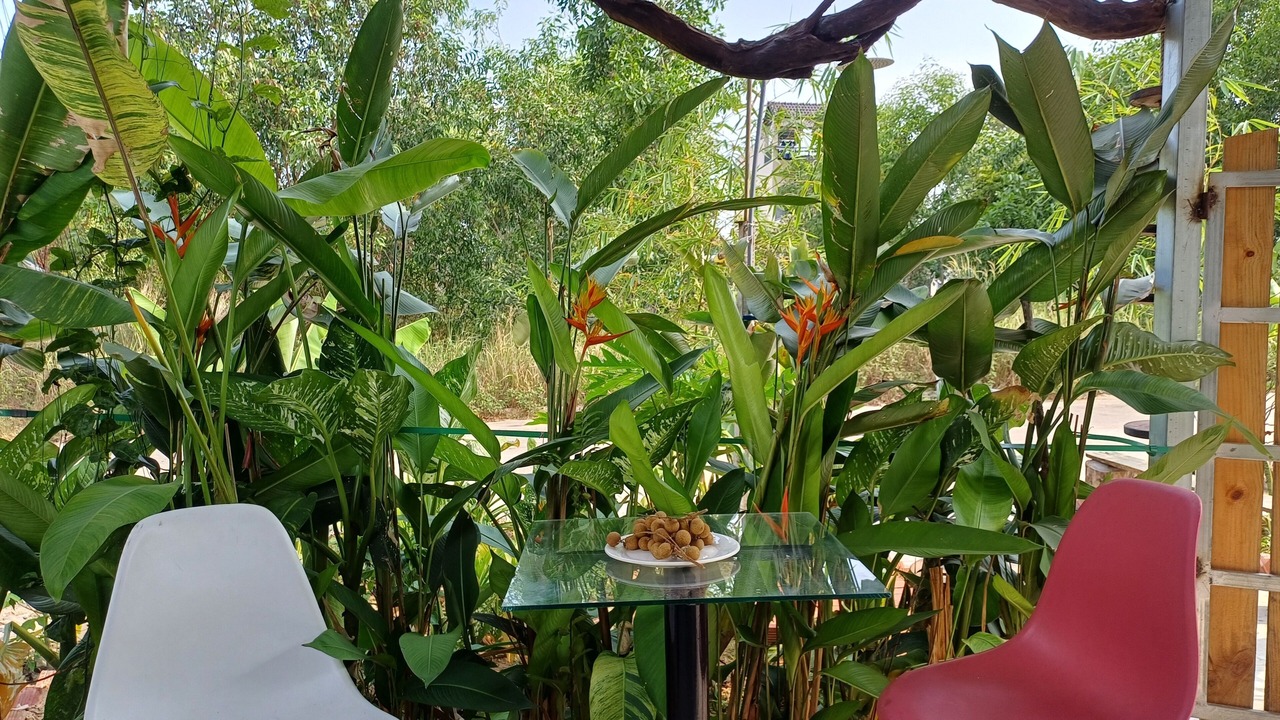 Photo of Outdoor in Ganh Dau