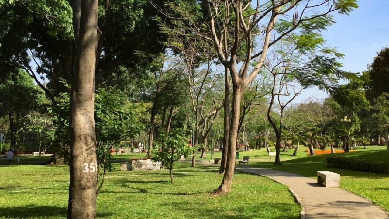 Photo of Others in Phuong 6