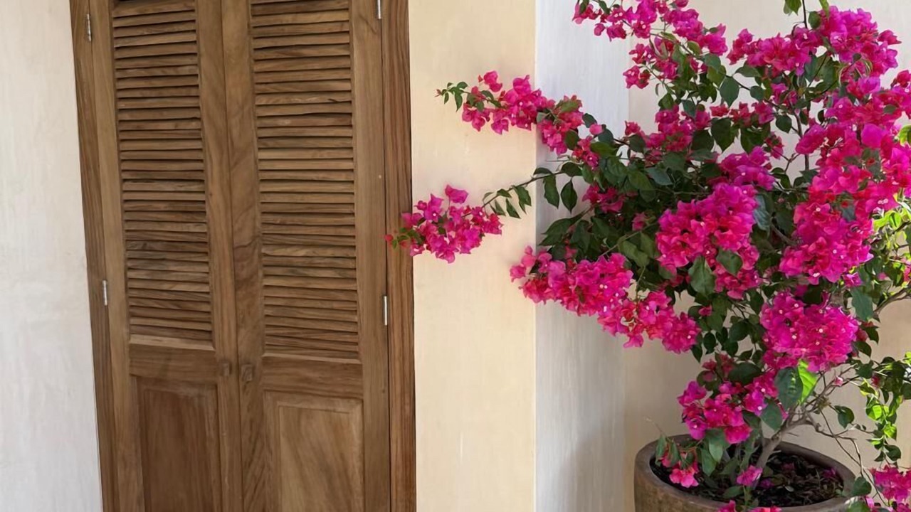 Photo of Outdoor in Conchas Chinas