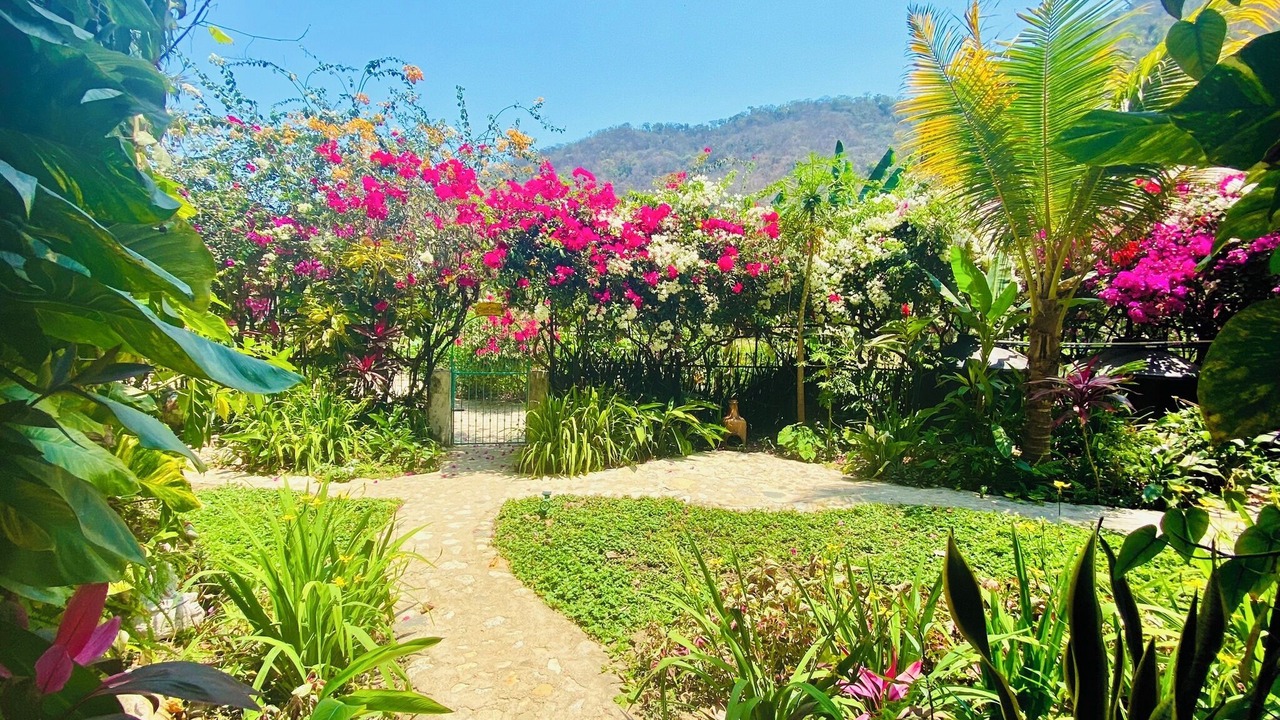 Photo of Outdoor in Boca de Tomatlan