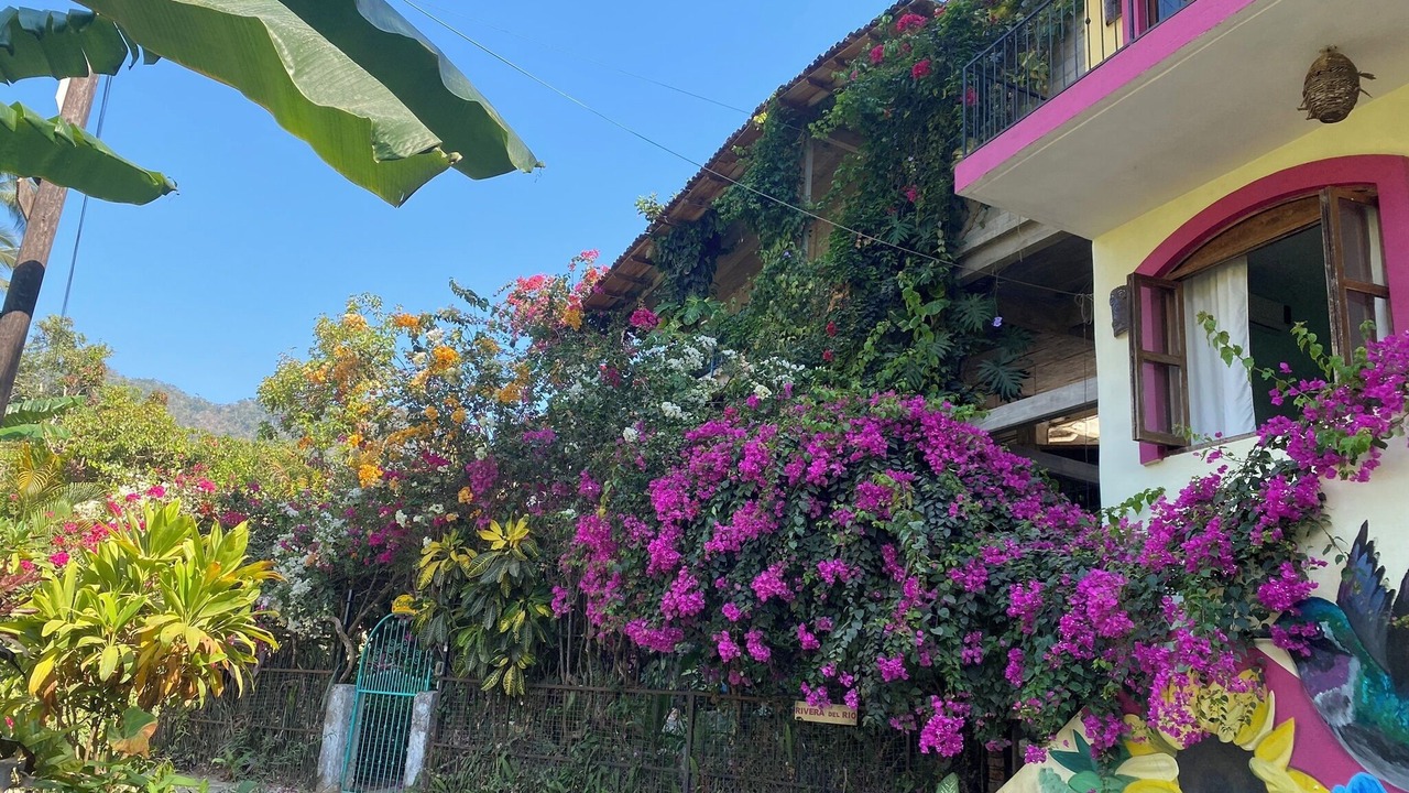 Photo of Outdoor in Boca de Tomatlan