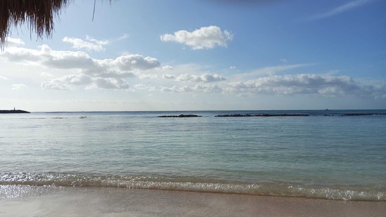 Photo of Others in Puerto Aventuras