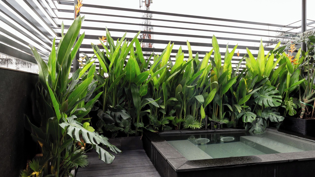 Photo of Outdoor in Phuong 6