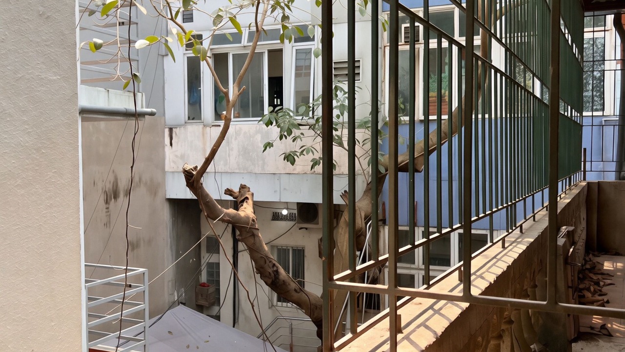 Photo of Outdoor in Hang Trong