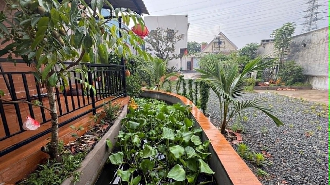 Photo of Outdoor in Long Thanh