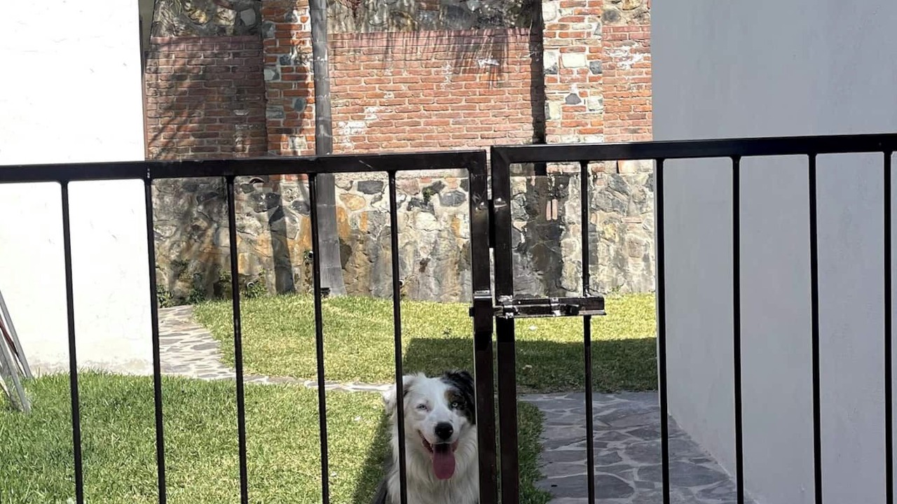 Photo of Others in Ajijic