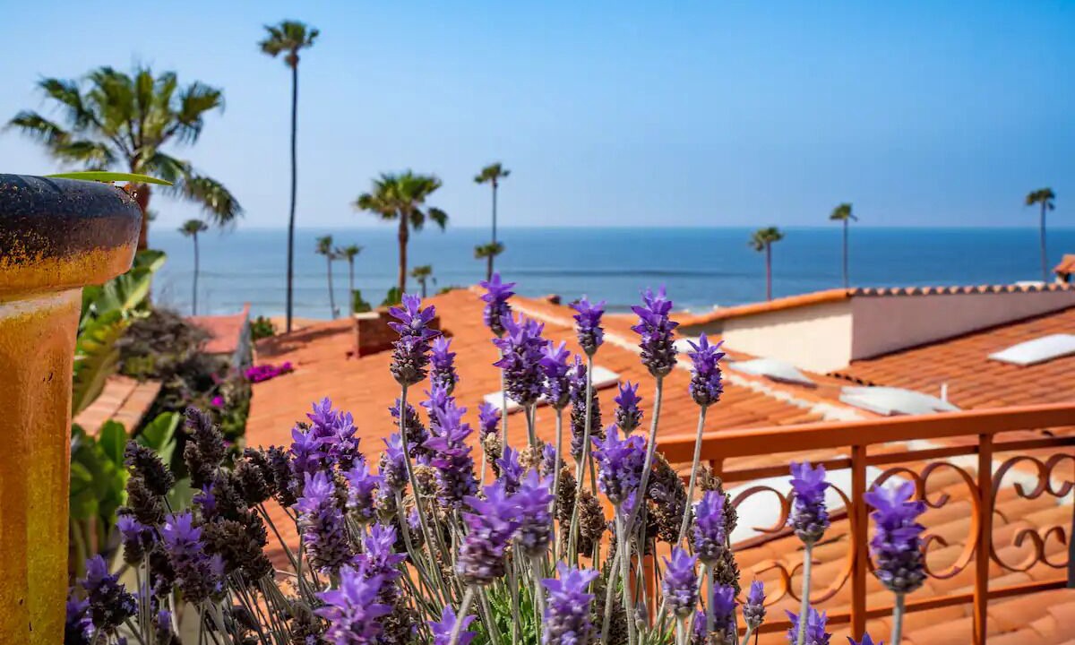 Photo of Outdoor in Playas de Rosarito